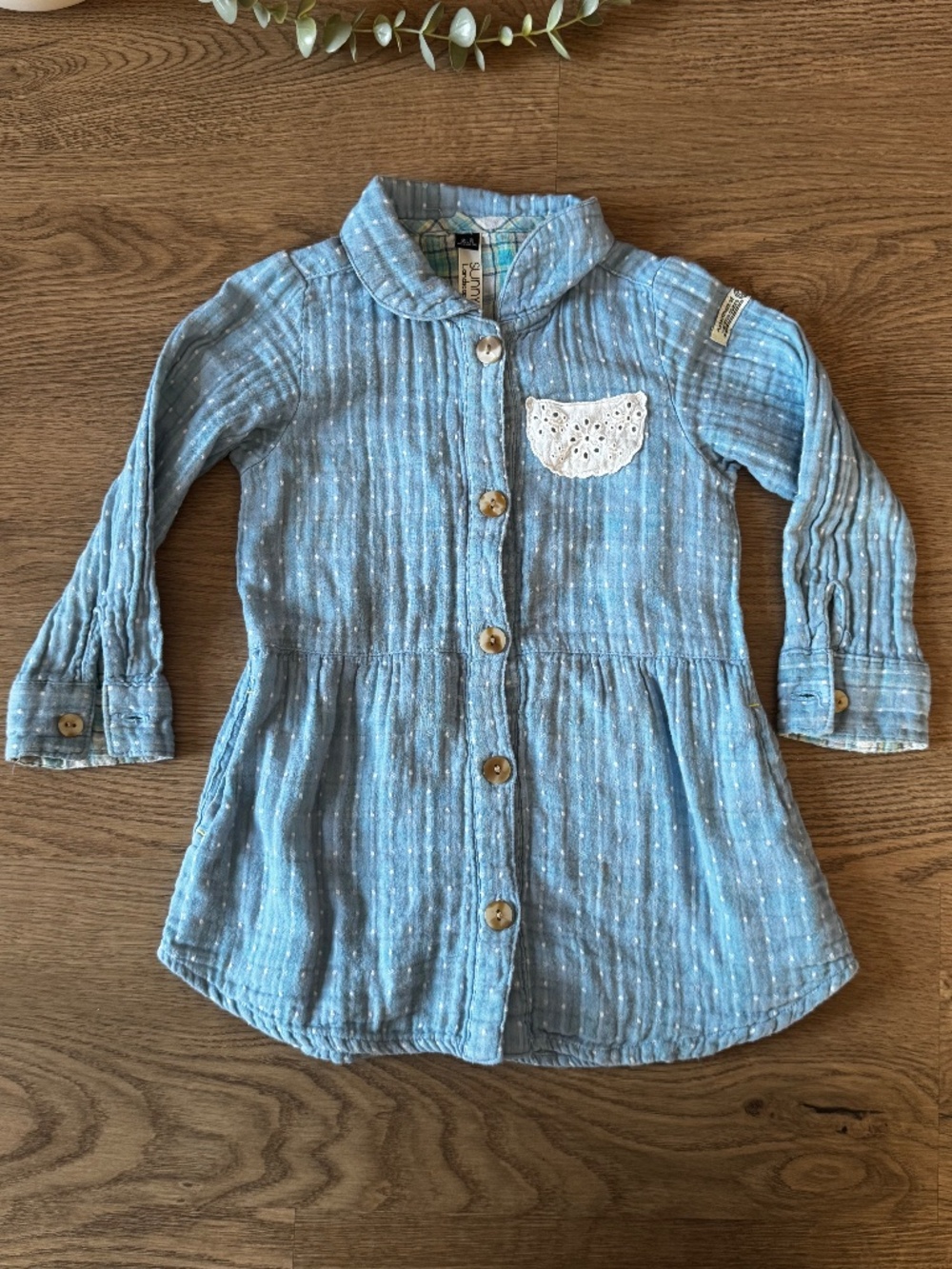 Sunny Landscape Blue Swiss Dot Button Front Dress Girls Size 2-3 Years Cottageco
